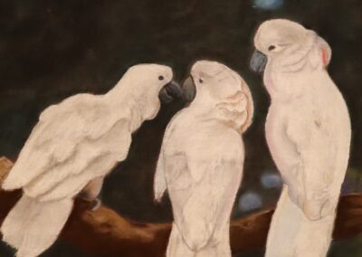 Cockatoos by Mary Marvin